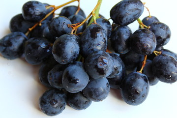Weintrauben dunkel