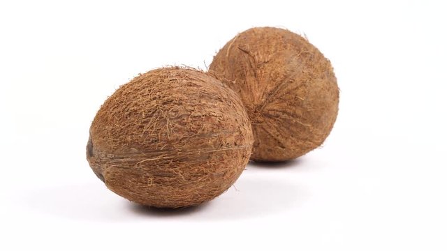 Two ripe whole brown tropical coconuts rotating on white isolated background. Healthy fresh tropical fruits. Loopable seamless cocos rotating