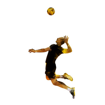 Polygonal volleyball player, isolated vector silhouette