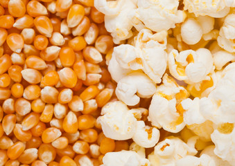 Raw golden sweet corn and popcorn seeds half plate