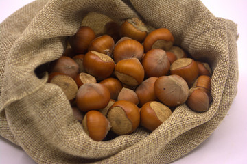 hazelnuts in a bag