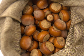 hazelnuts in a bag