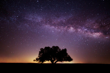 Naklejka na ściany i meble Milky Way over Ft. Griffin Texas