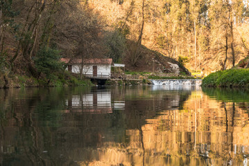 Fototapeta premium River stream in Portugal