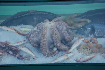 Wybrzeże Grecji, Poleponez, wyspa Hydra © Piotr