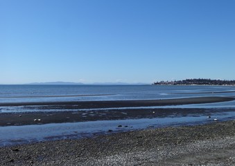 Spring sunshine at Birch Bay beach