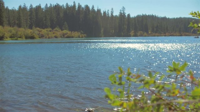First person view of someone walking along a lake shore on a sunny day