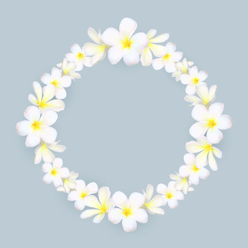 White frangipani flowers vector round frame on gray background