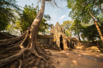 Fototapeta na wymiar Stadttor von Angkor