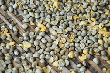 Processing of coffee beans roasted and principally with the standard to ensure that the coffee beans processed are meeting organic chemicals.