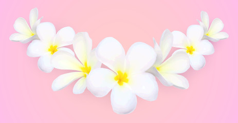 Fototapeta na wymiar White frangipani flowers vector border on blue background