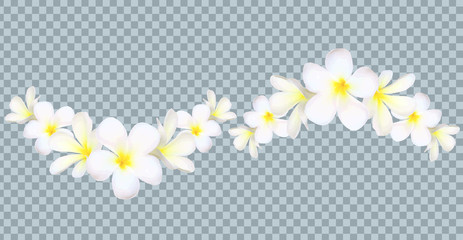 Vector Bali flowers border on transparency grid background