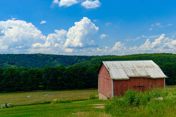 A red barn in the ohio countryside on a summer day