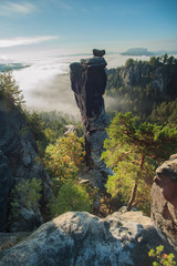 Sonnenaufgang &uuml;ber dem Wehlgrund mit Blick auf die Bastei