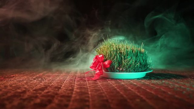 Traditional Novruz holiday`s sight of spring coming Samani growing on plate on eastern carpet background. Holiday of Azerbaijan.  Growing green grass plant. Slider shot