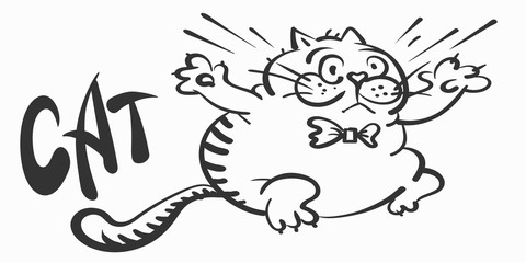 Cute cat, drawing. Doodle cartoon style. Cartoon black icon on white backdrop. Animal print. Fat cat for your design. Vector