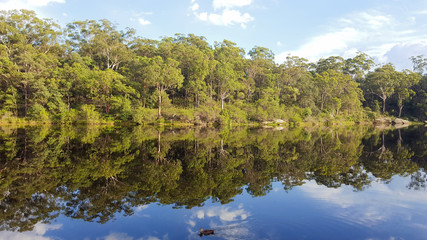 Lake Reflection