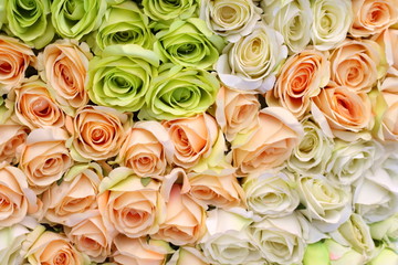 Obraz na płótnie Canvas Rose, many colorful artificial flowers.
