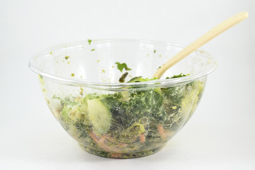 Raw vegan falafel salad