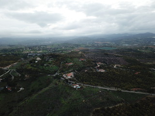 plants aerea view in oceanside