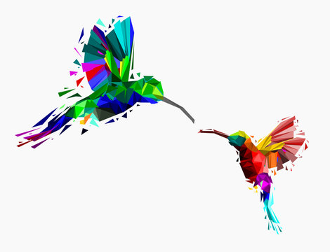 Isolated Low poly colorful couple hummingbird with white back ground,animal geometric,vector.