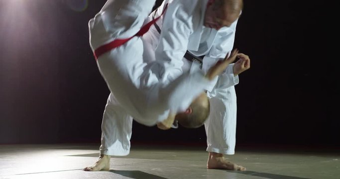 Two martial arts athletes during practice
