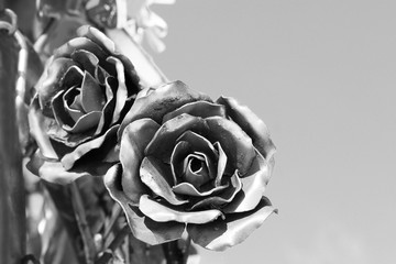 Fototapety  Two metal roses on a background of blue sky
