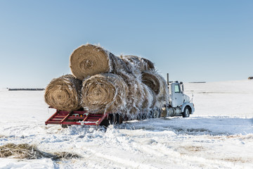 big semi truck with hay bales on flatbed in winter