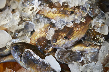 Korean traditional market