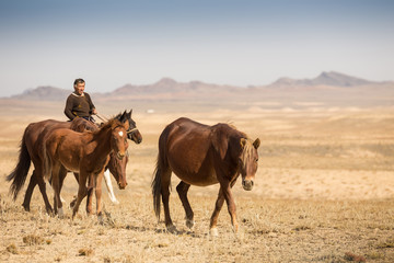 Fototapeta na wymiar Normal steppe groom, who is tending the horses in Kazakhstan