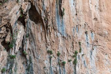 Graphic texture stone