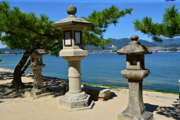 【広島】宮島_松と灯篭