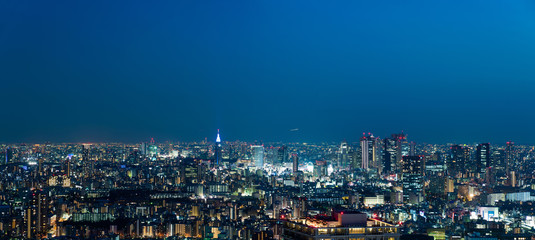 Fototapeta na wymiar 東京の夜景パノラマ