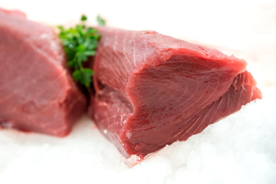 Portion of fresh raw tuna on crushed ice