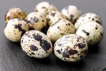 Obraz premium raw eggs of quail on stone