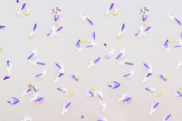 Fototapeta na wymiar Abstract flower pattern, small flowers on cardboard, top view, flat lay