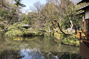 日本的な池
