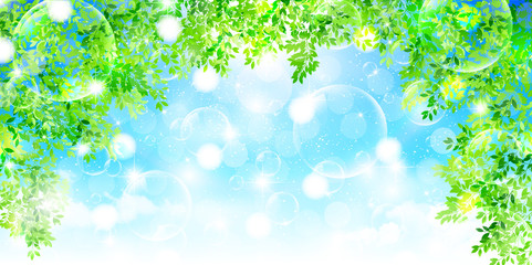 新緑　葉　風景　背景 © J BOY