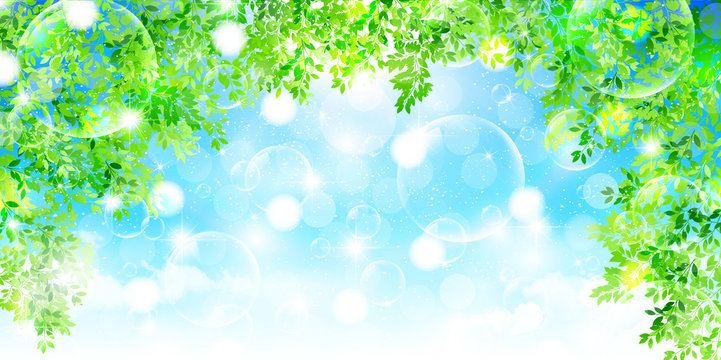 新緑　葉　風景　背景