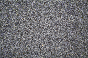 poppy isolated on white background