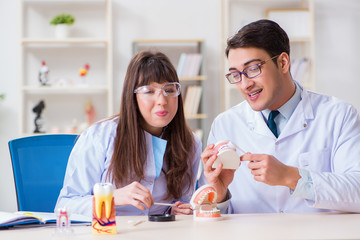 Dentist explaining student tooth structure