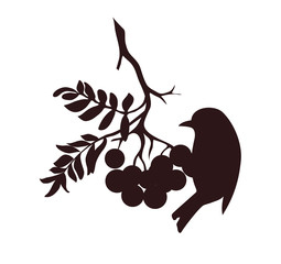 Vector silhoutte. Decorative bird sitting on rowan twig with berries