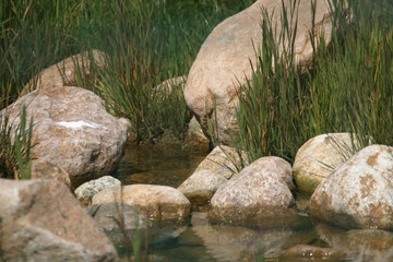 Fototapeta na wymiar Ruhe und Gelassenheit Steine Wasser grünes Gras