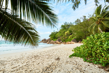 paradisiac anse georgette beach in seychelles praslin island