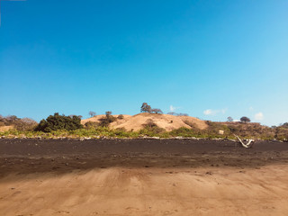 trees,  hills and blue sky - scenic landscape behind  black sand beach
