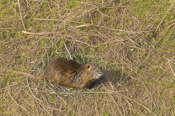 ここで生きてる！