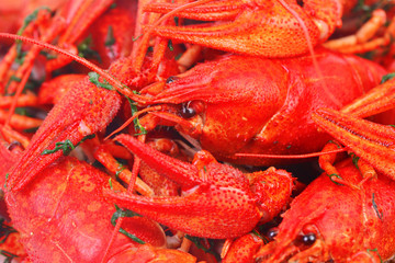 Cooked crayfish with dill