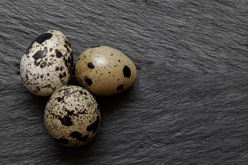 Three Quail Eggs on Black Stone Background Surface With Free Space