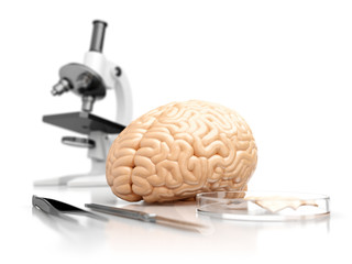 The concept of human brain research, a microscope and surgical instruments in the laboratory