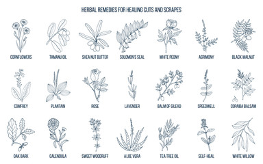 Herbal remedies for healing cuts and scrapes © foxyliam